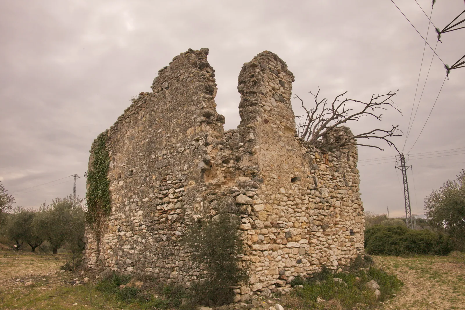 Abadia del Codony