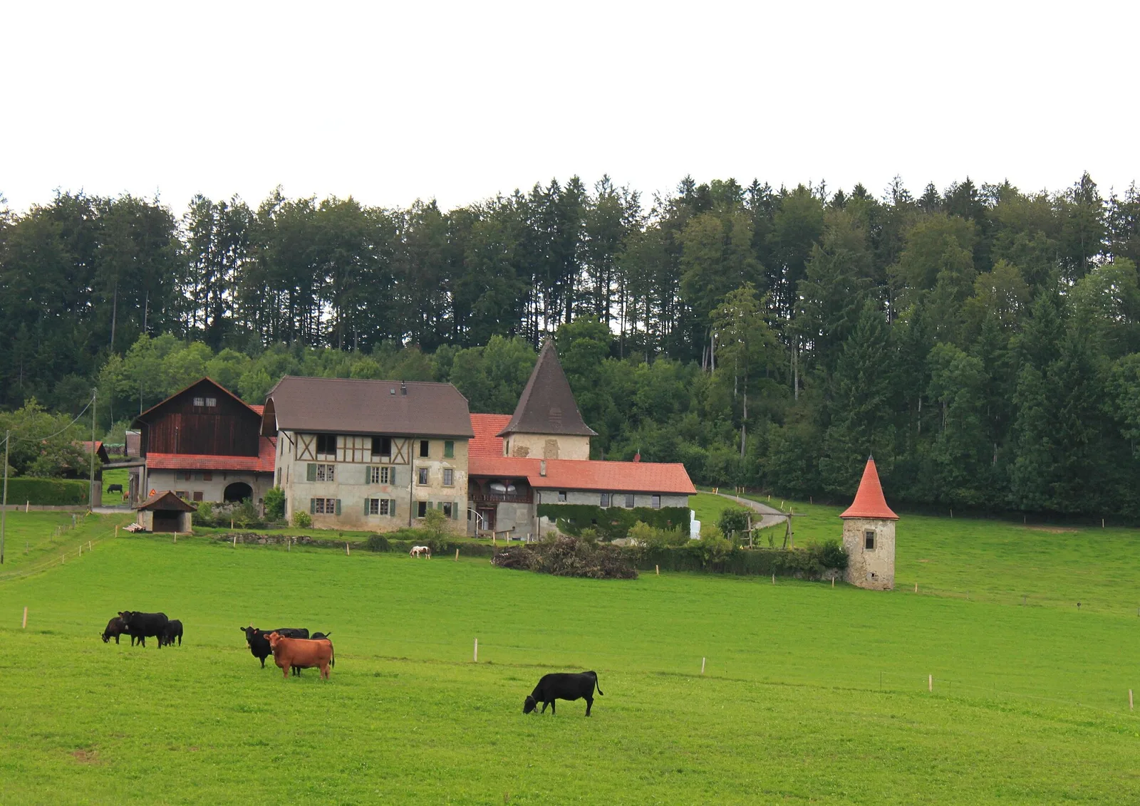 abbaye cistercienne de Haut-CrĂŞt