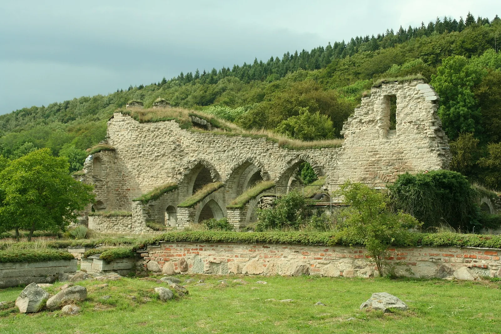 abbaye d'Alvastra