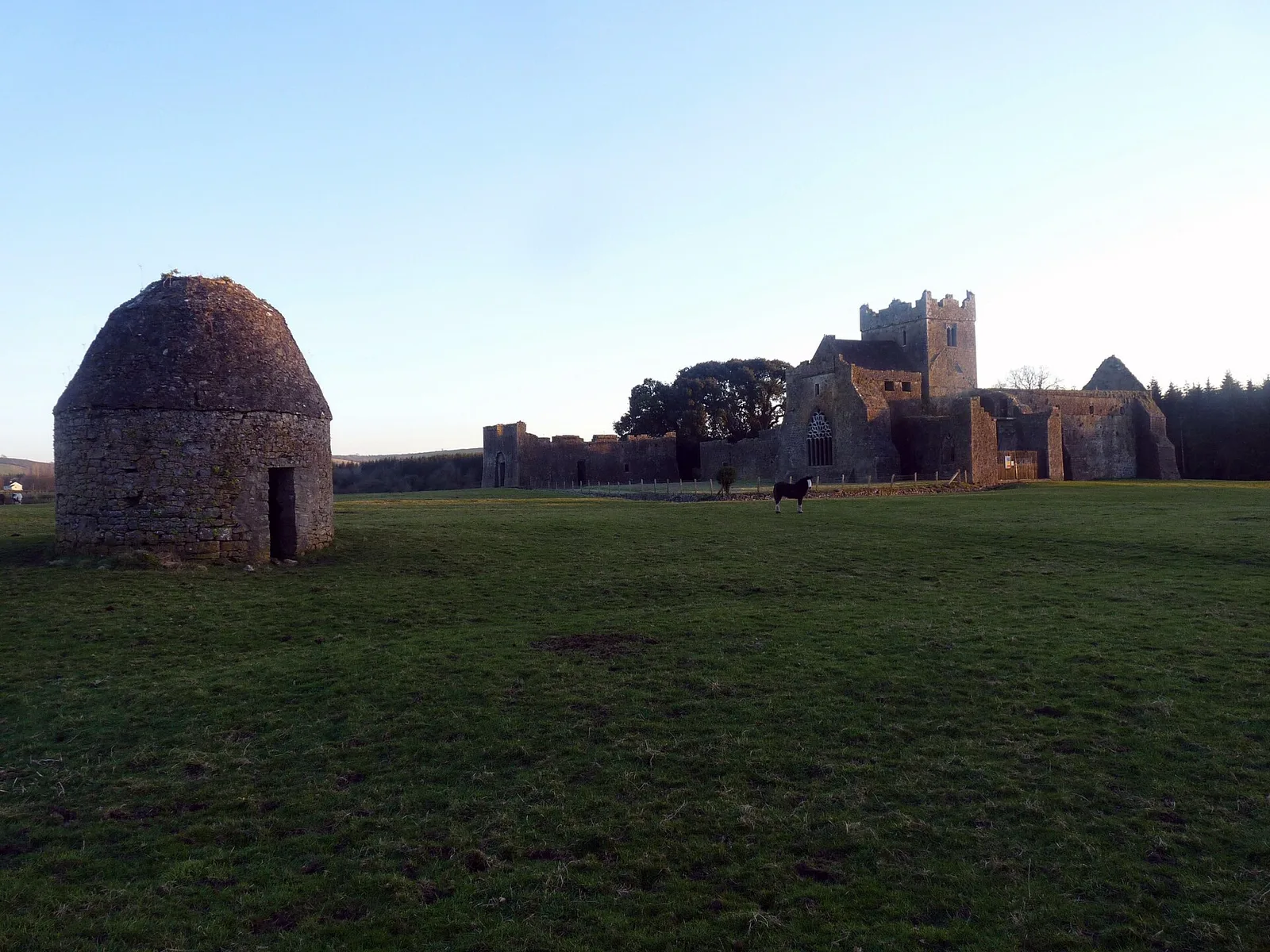 abbaye de Kilcooly