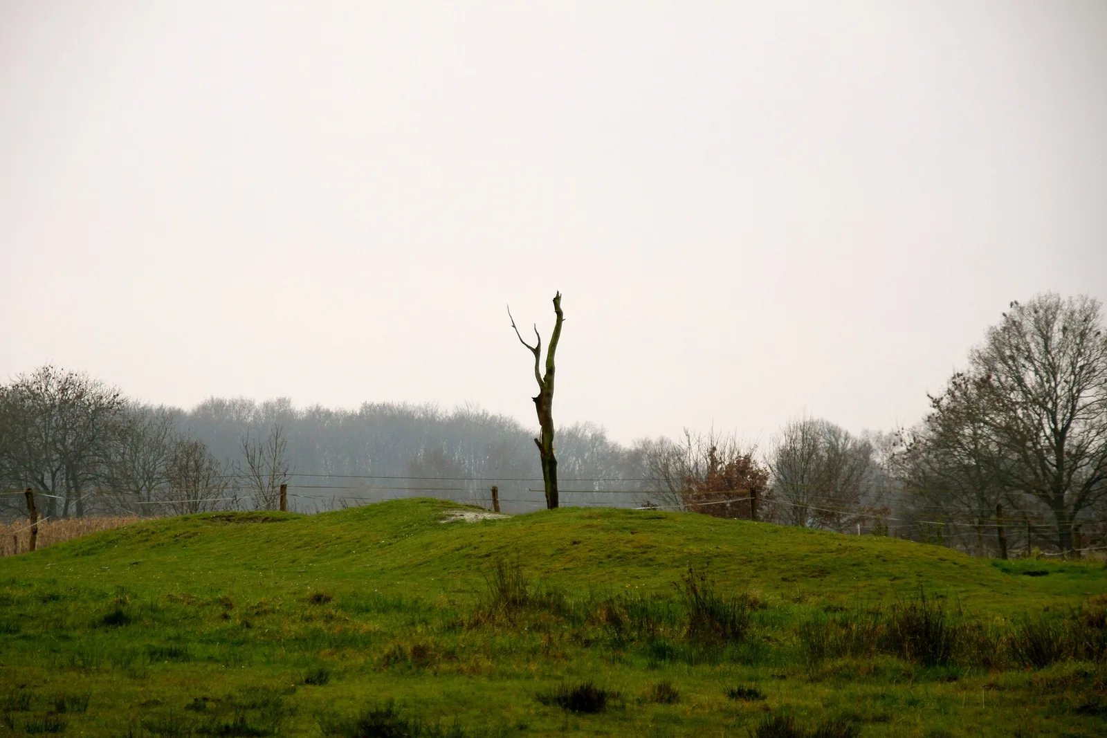 abbaye de Marienkamp