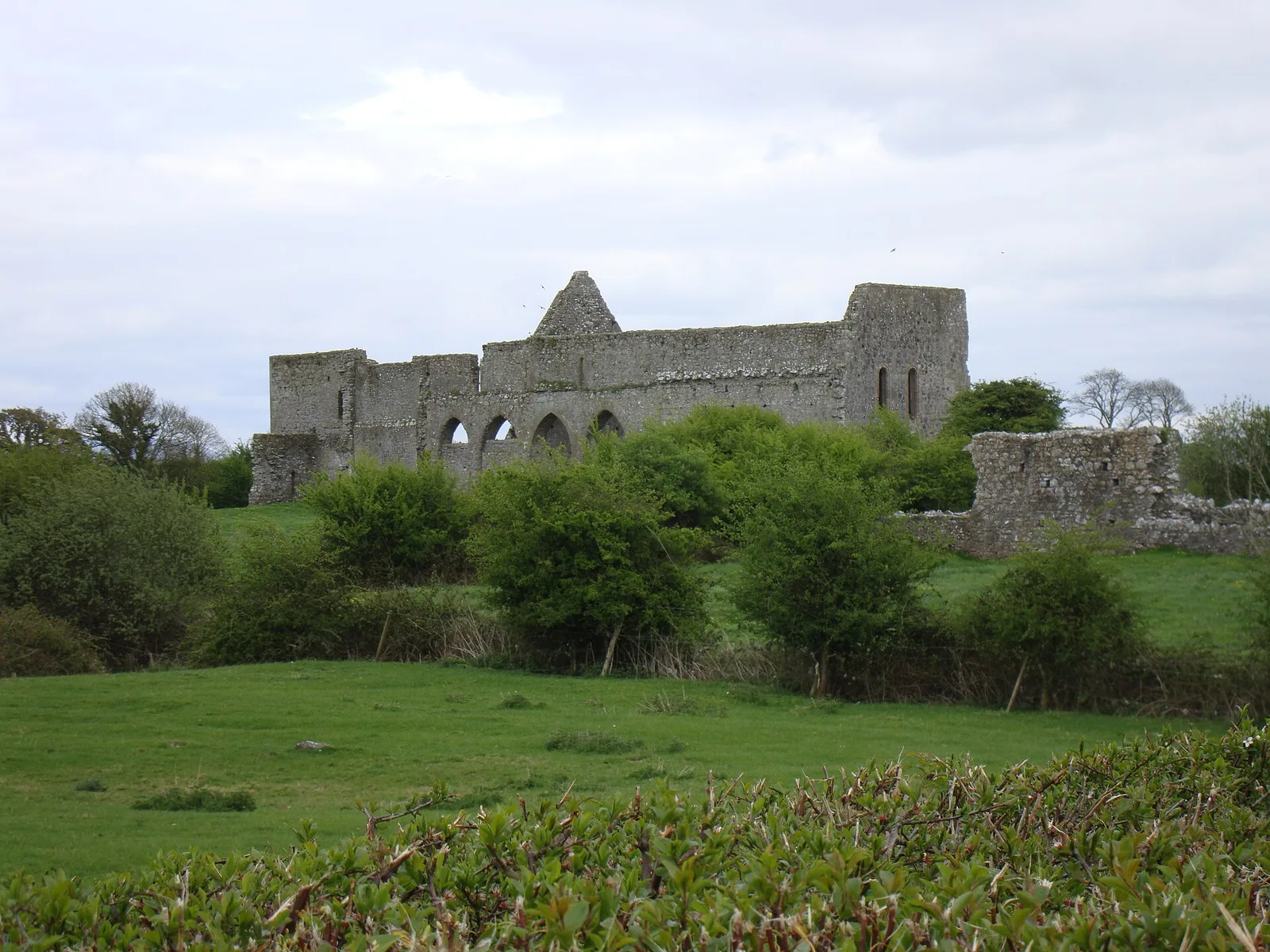 abbaye de Monasteranenagh