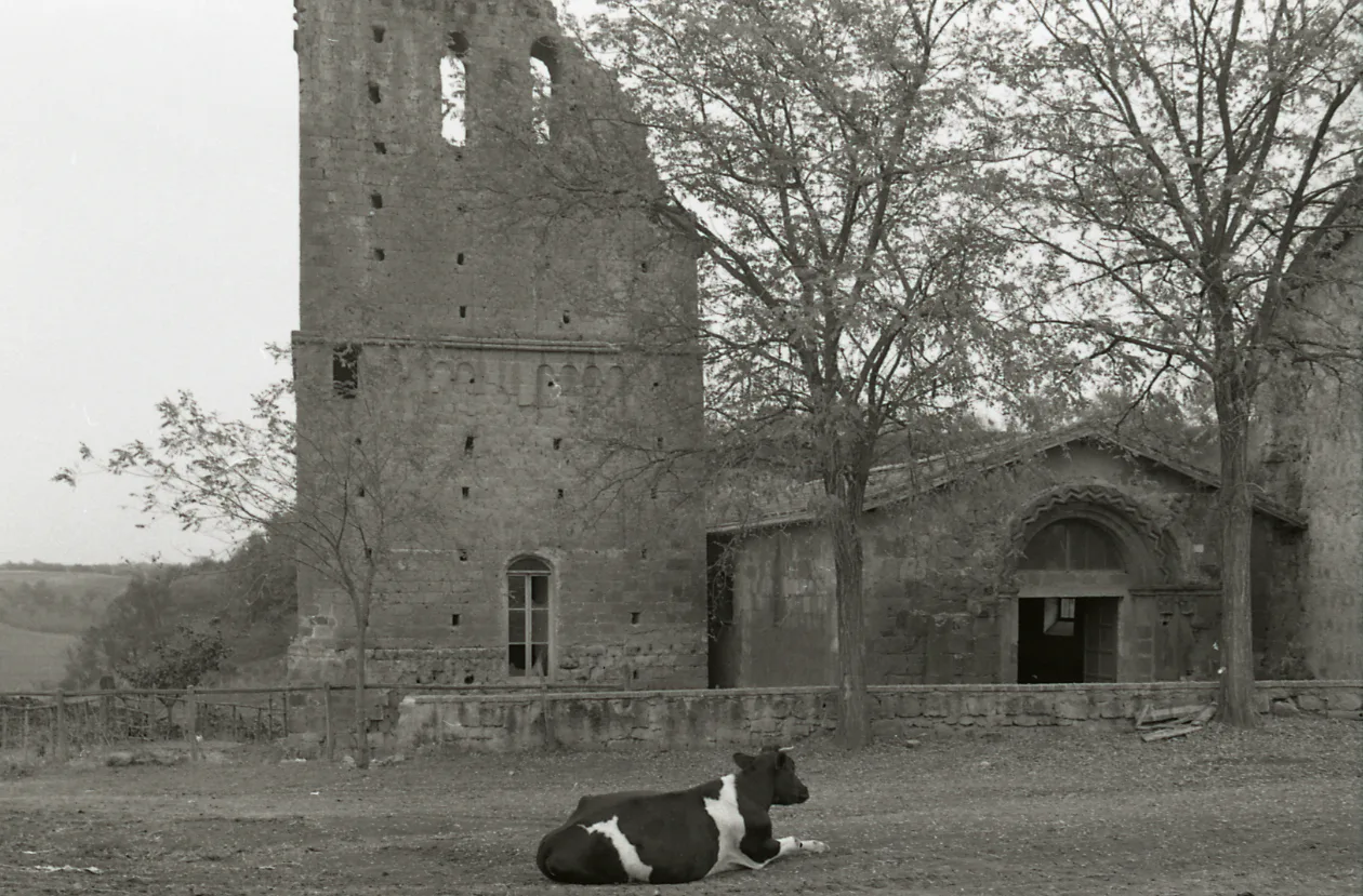abbaye de San Giusto in Tuscania