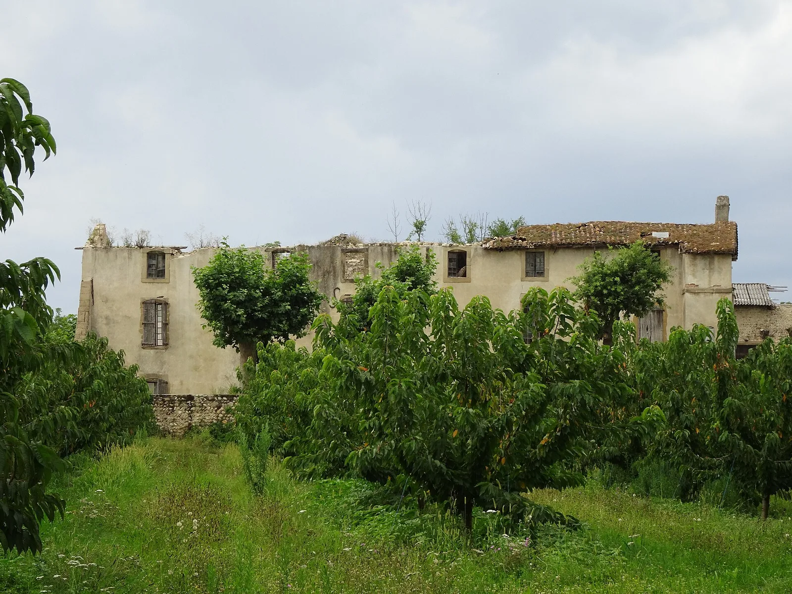 abbaye de Vernaison
