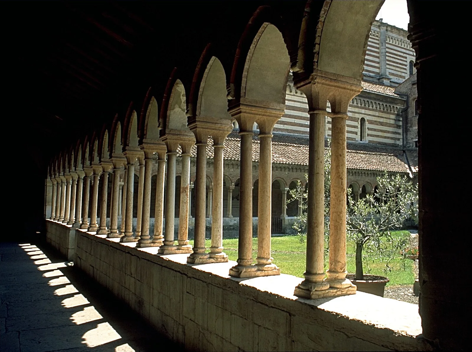 Abbazia di San Zeno (Verona, Italy)