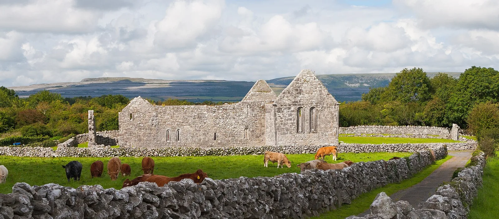 Abbey of St. Mary de Petra, Kilmacduagh