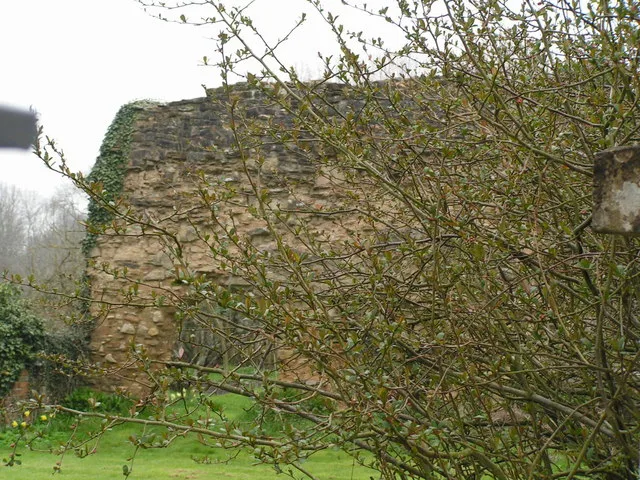 Abbey Ruins