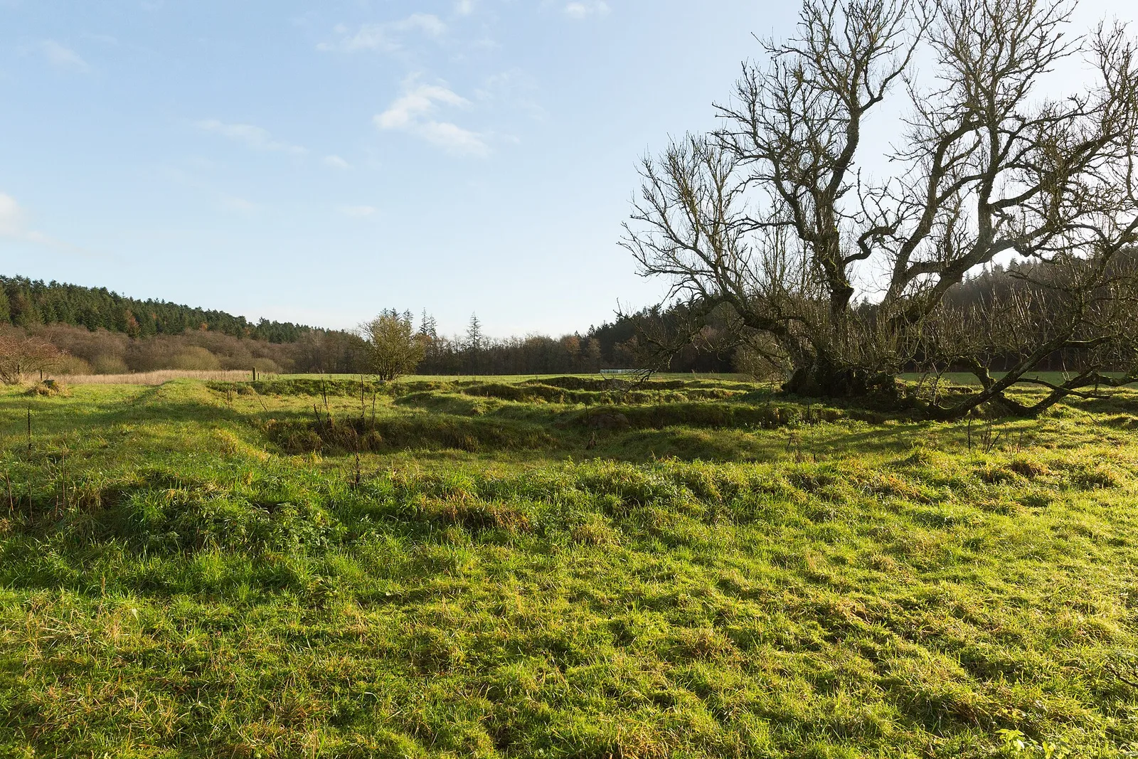 Alling Abbey