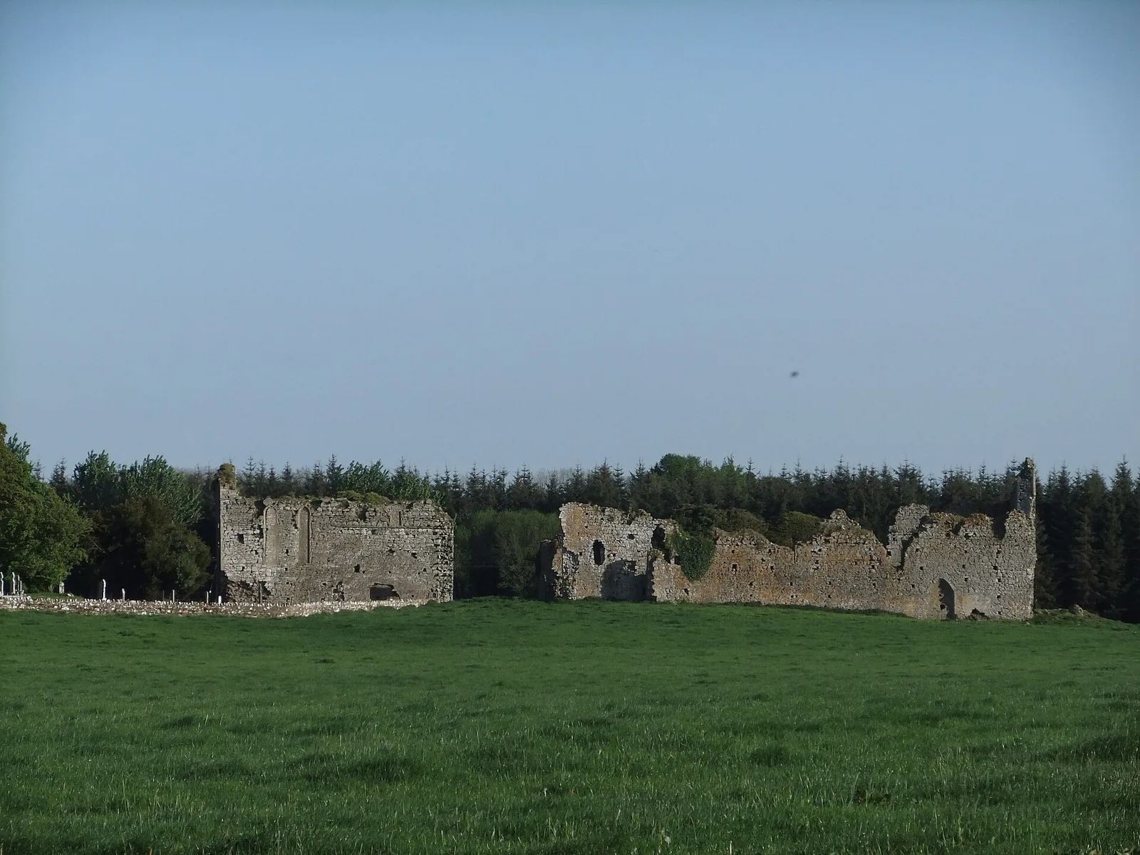 Ballyboggan Priory