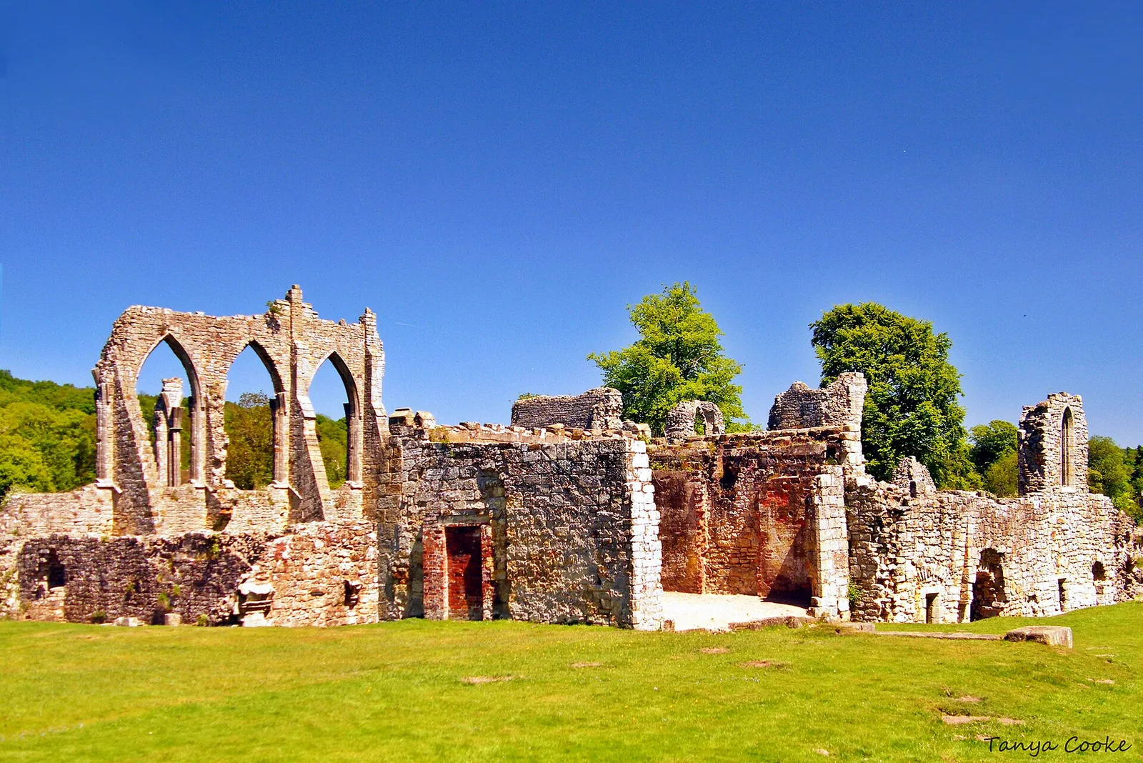 Bayham Old Abbey