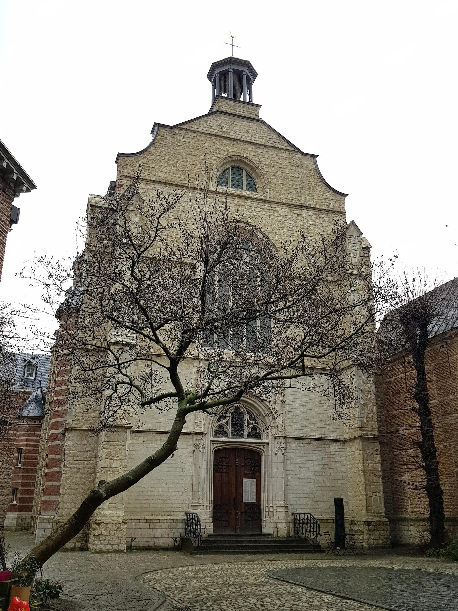 Brabantsche Olijfberg