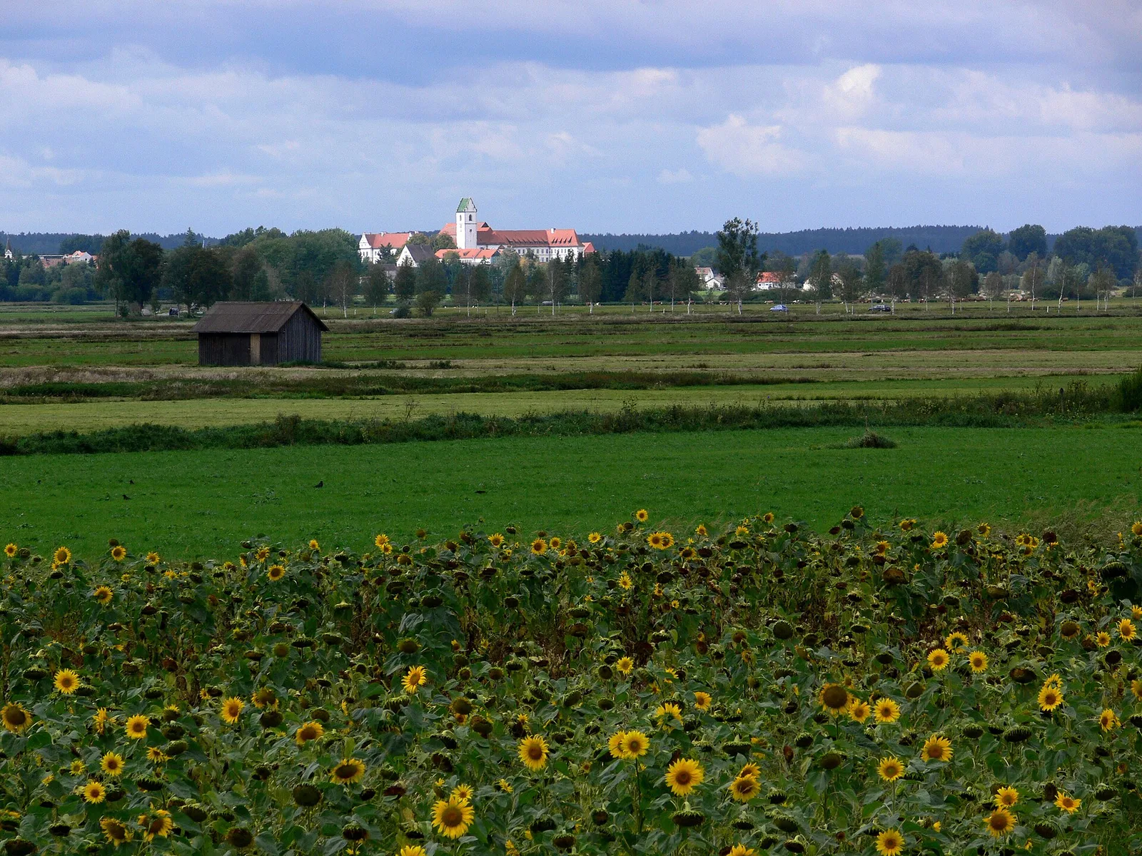 Buchau Abbey