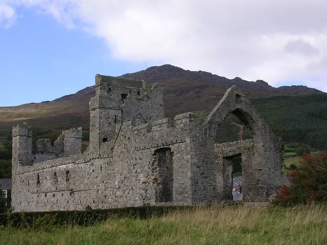 Carlingford Priory