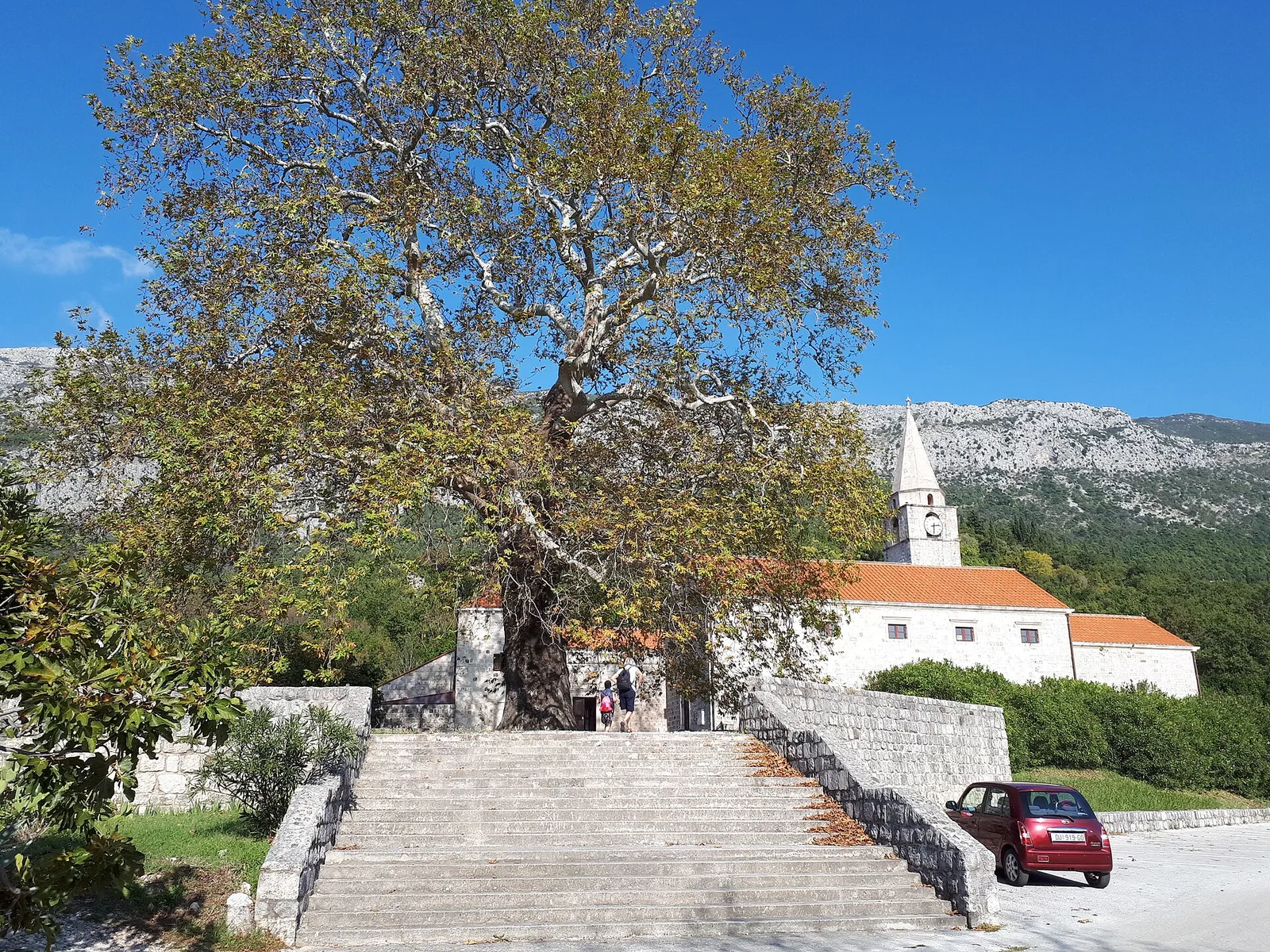 Category:Monastery of St. Francis in Pridvorje