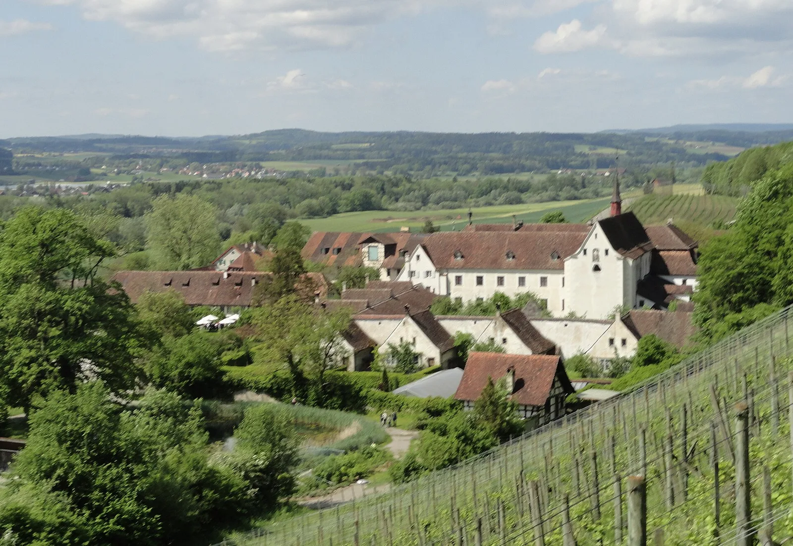 chartreuse d'Ittingen