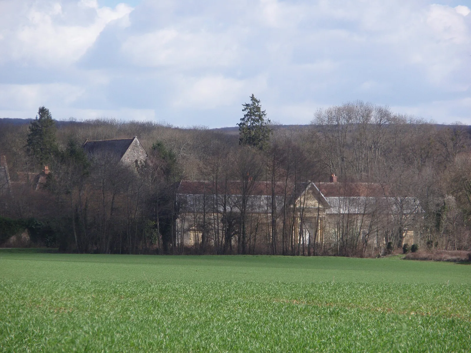 chartreuse de Bellary