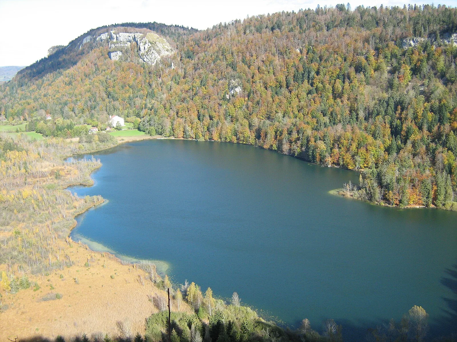 chartreuse de Bonlieu