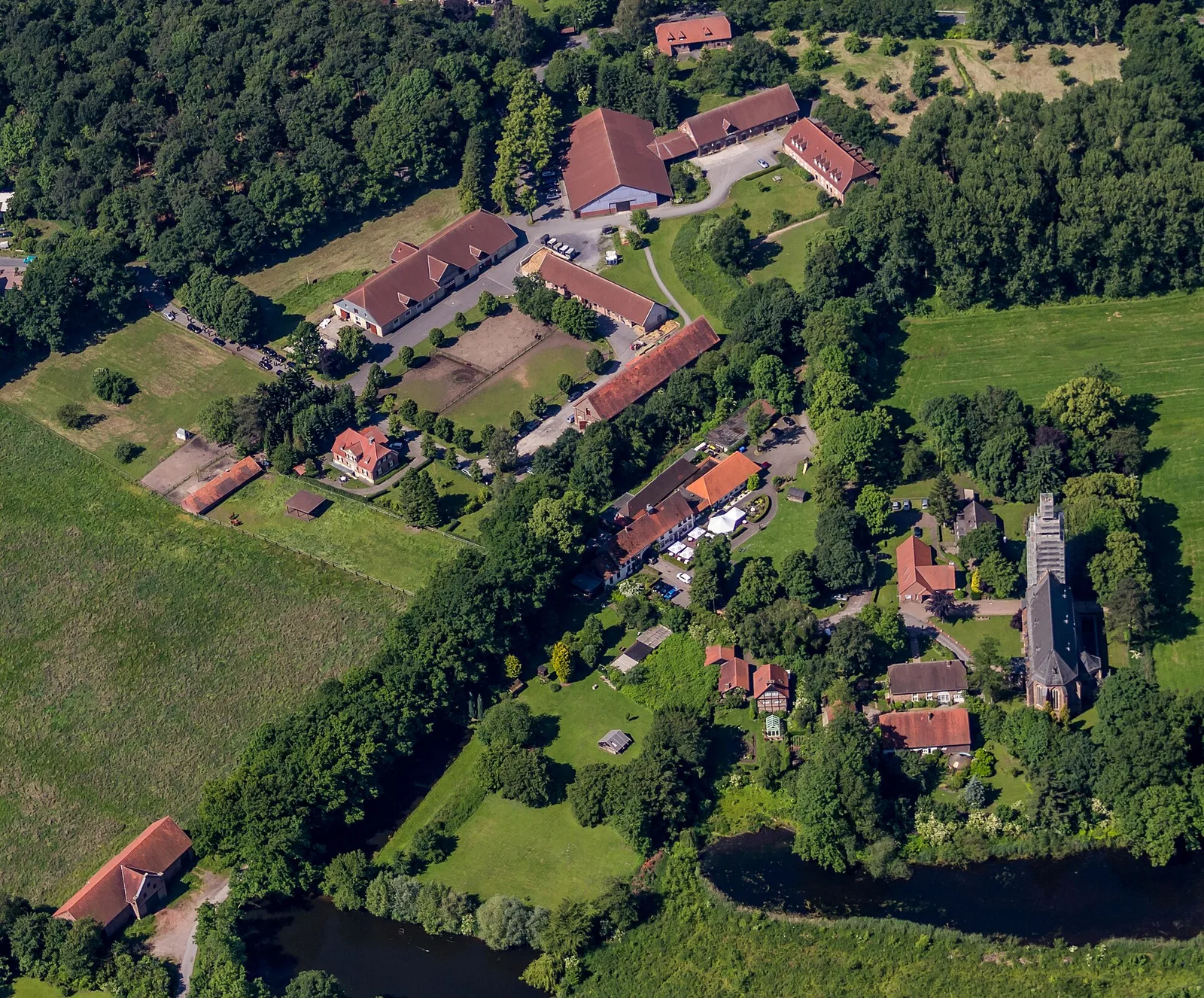 chartreuse de Dülmen