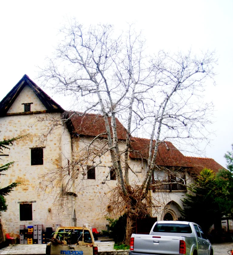 Chrysoroyiatissa Monastery