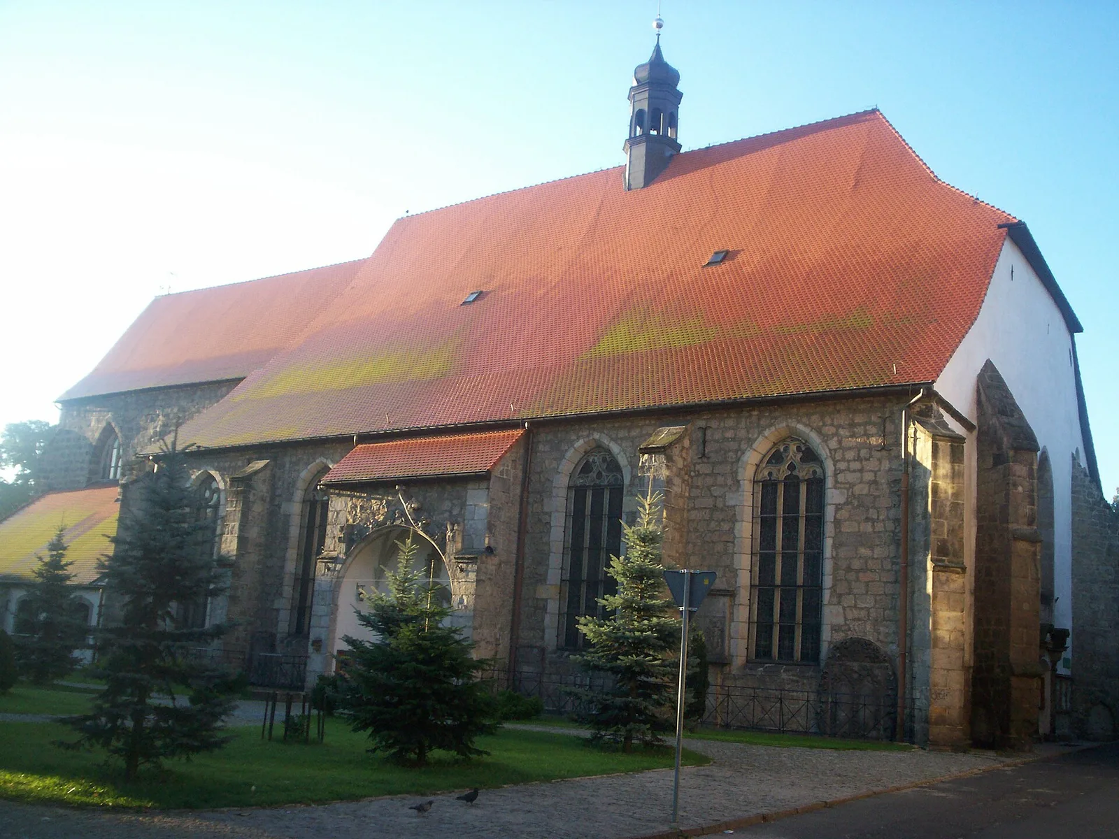 Church of St. Francis in Lwówek Śląski