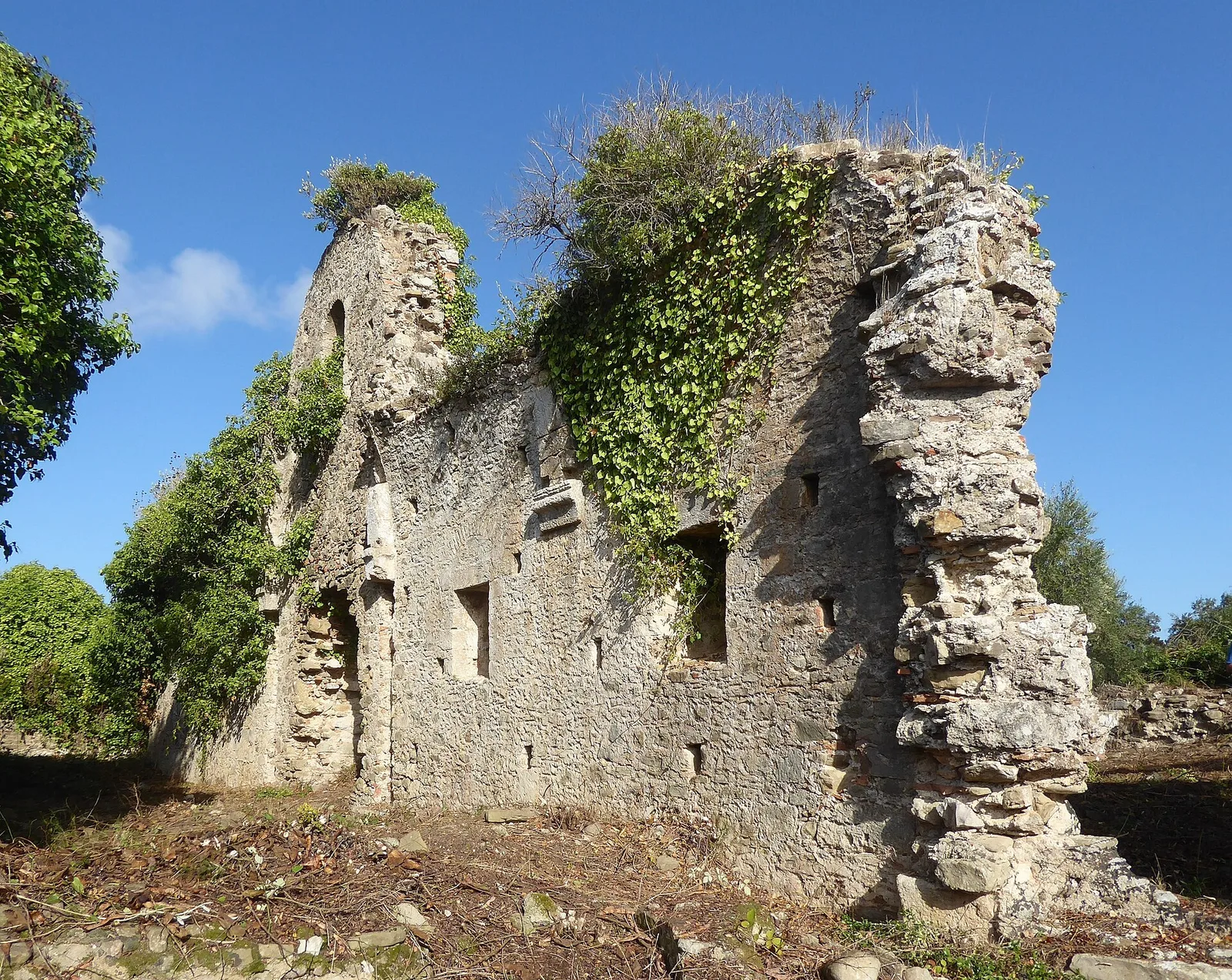 De viridarios Beatae Mariae abbey