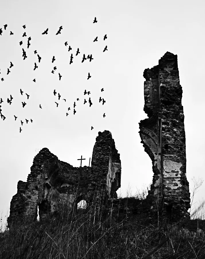 Former monastery of Bociulești