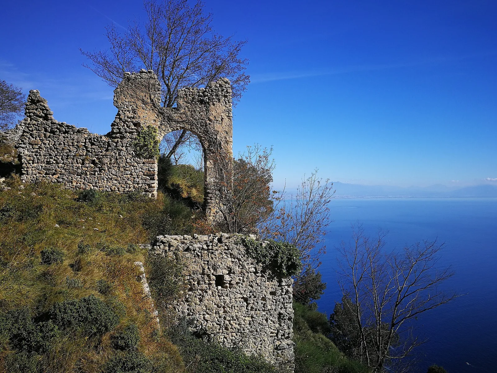 Francesco di Cospiti
