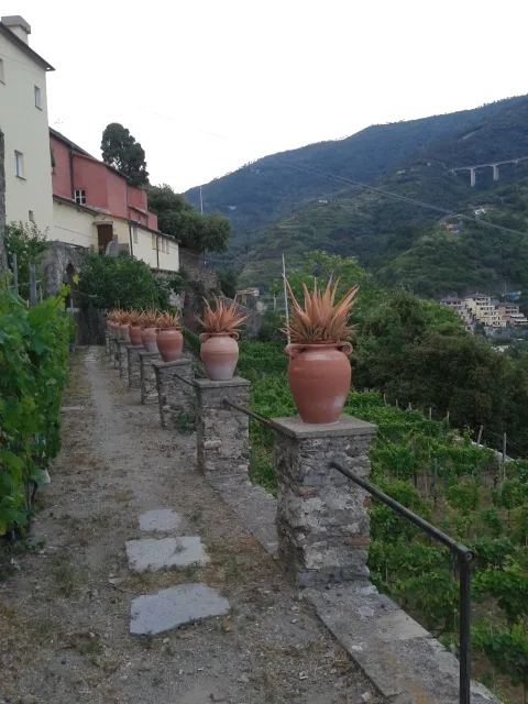 Frati Cappuccini