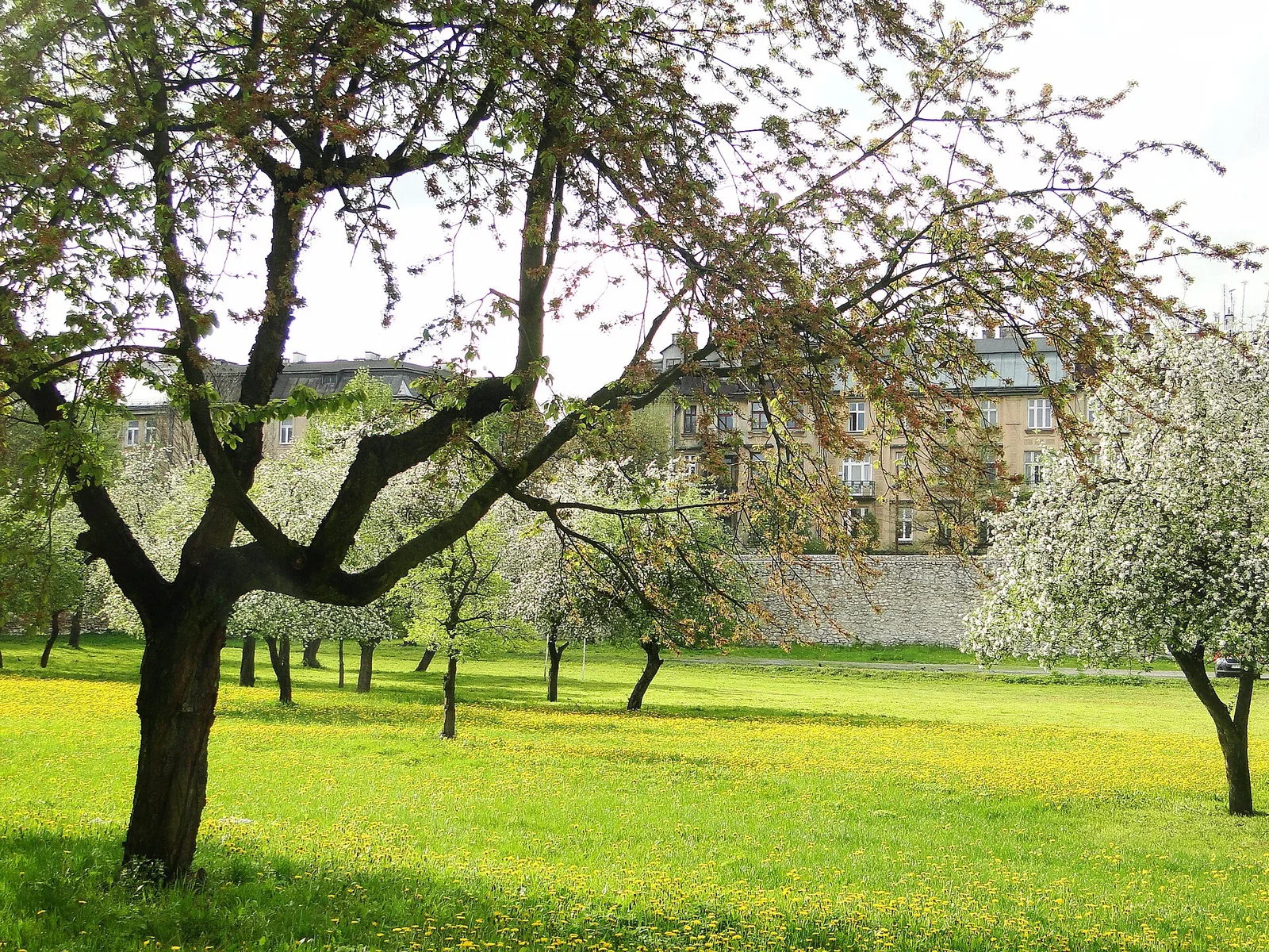 Garden of Saint Catherine Monastery in Kraków