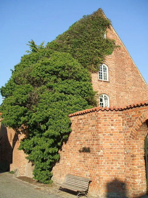 Johanniskloster