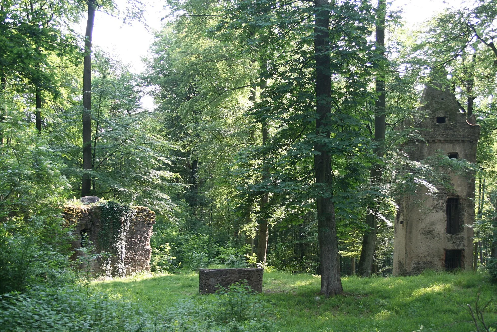 Kloster St. Wolfgang (Hanau)
