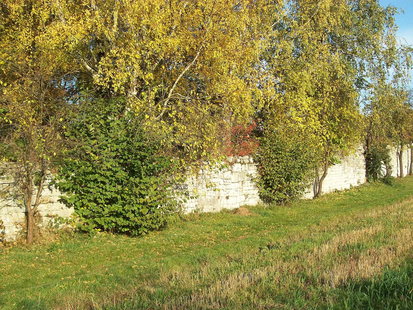 Klosterbefestigung in Engelthal