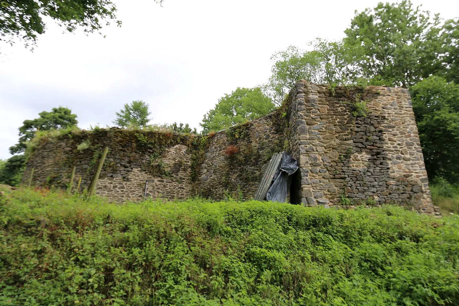 Klosteruine Seligenstatt