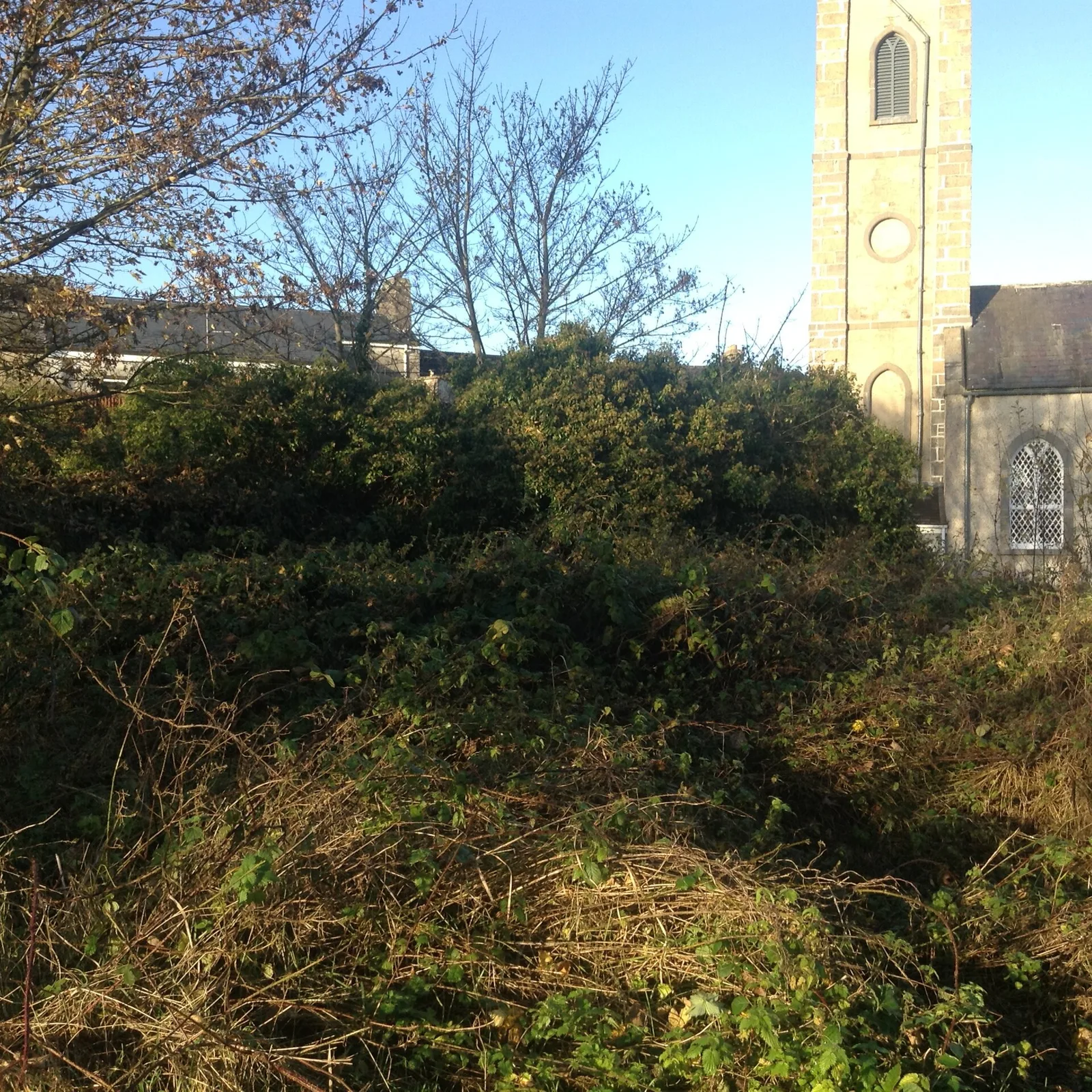 Monastery of Mohill-Manchan