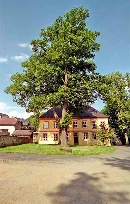 Pohled Castle
