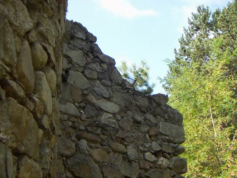Ruins of Vișina monastery
