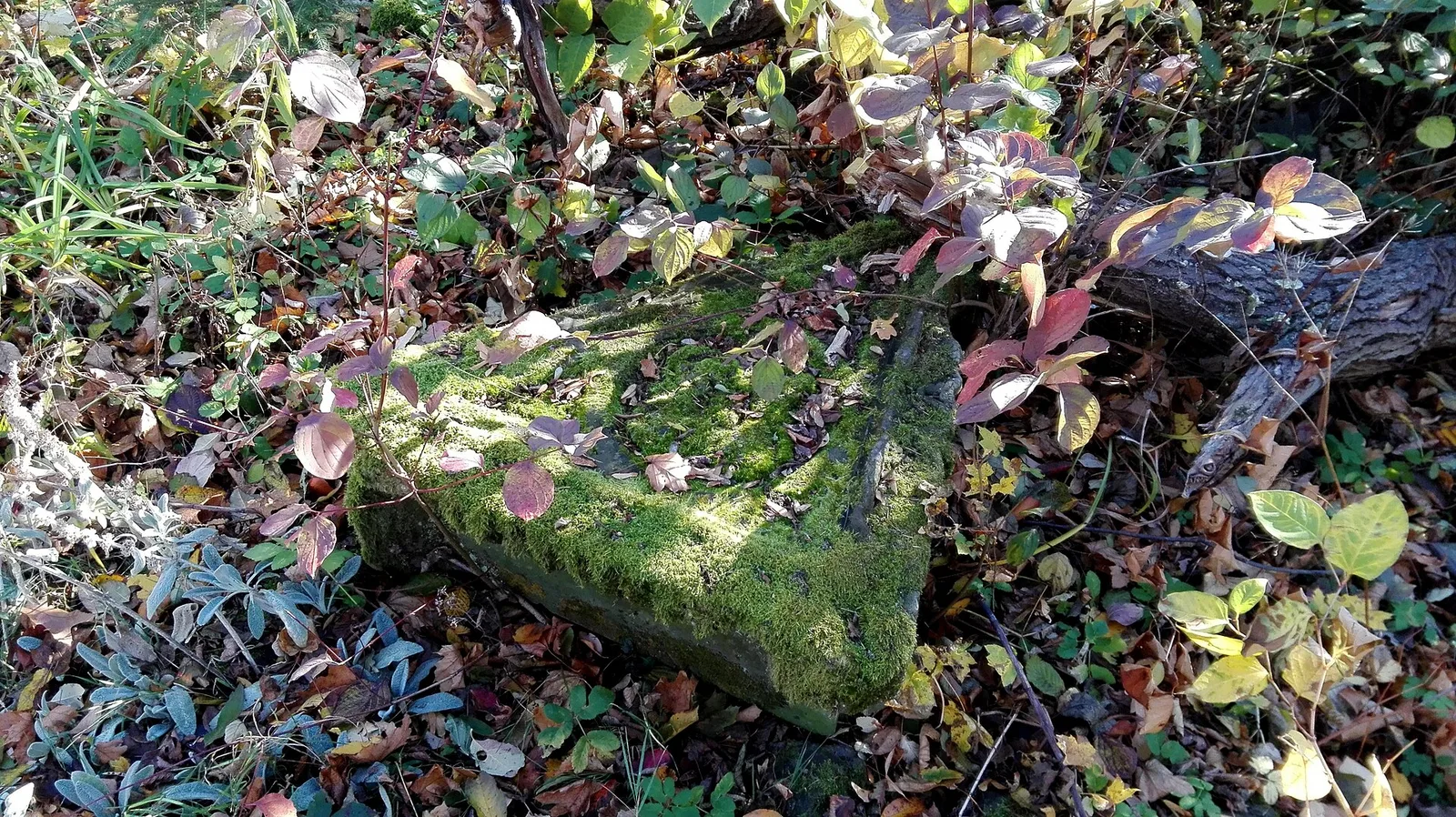 Ruiny Sanktuarium Matki Bożej Bolesnej z 1743 r. na Kaplicznej Górze