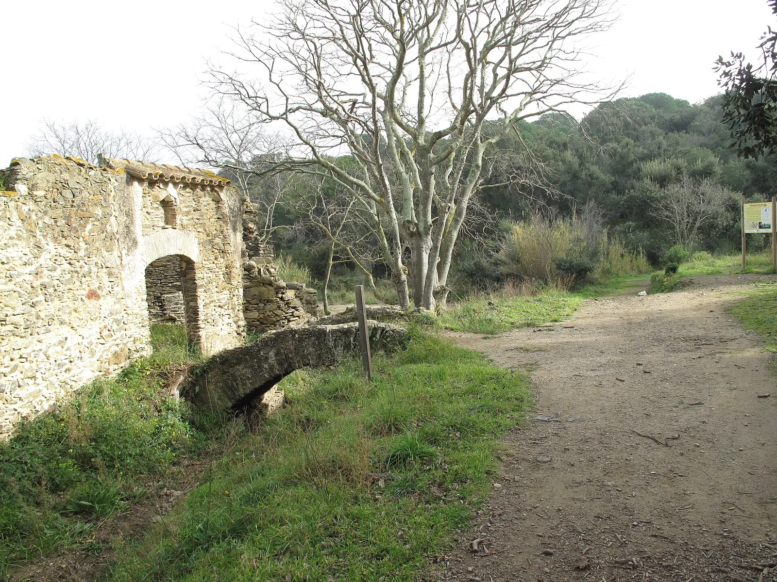 Sant Baldiri de Tavellera