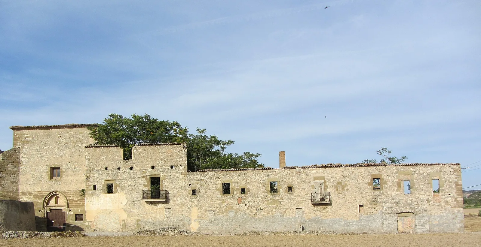 Sant Francesc d'Assís