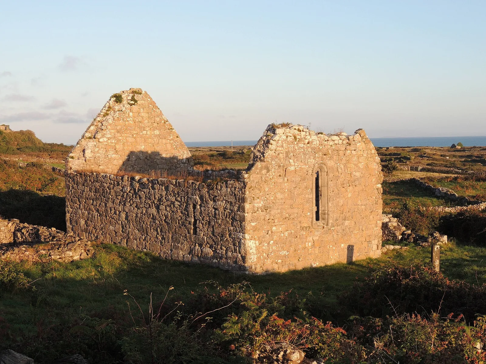 St. Kieran's Early Medieval Ecclesiastical Site