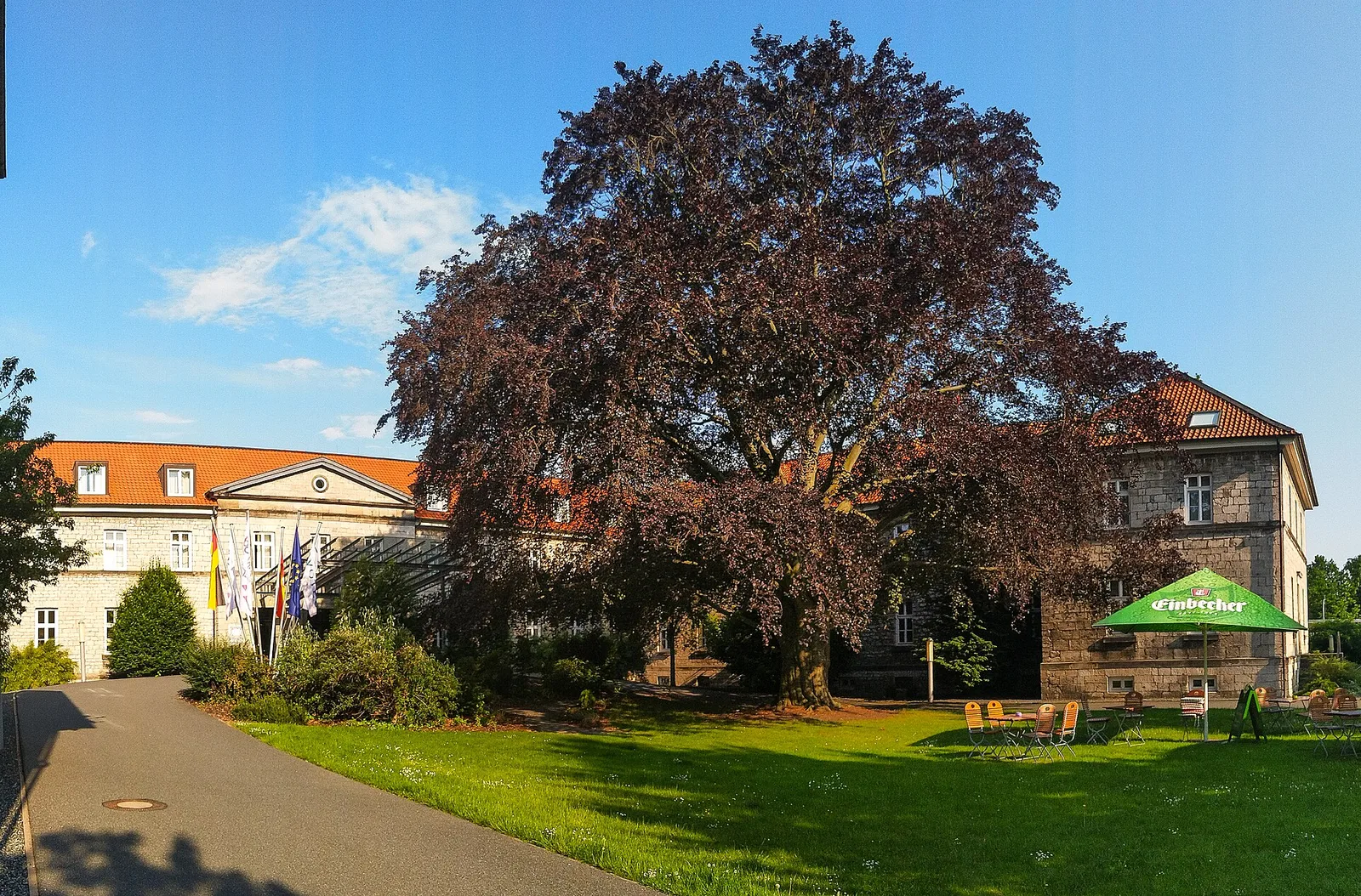 Sülte