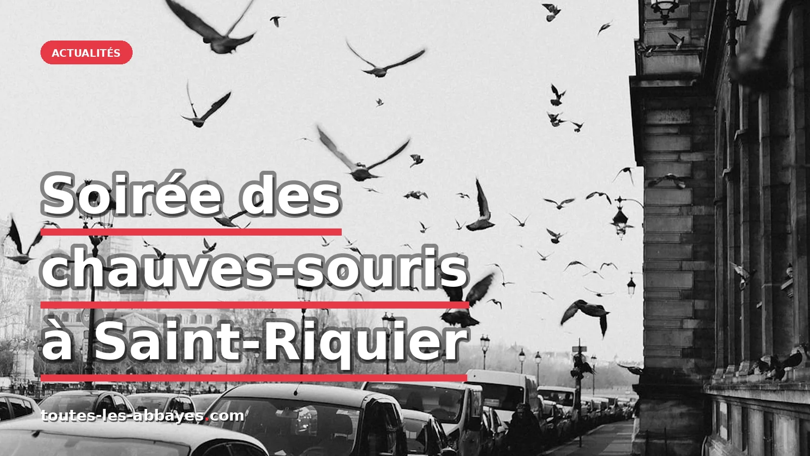 Soirée exceptionnelle dédiée aux chauves-souris à Saint-Riquier, le 29 août — photo Matteus Silva