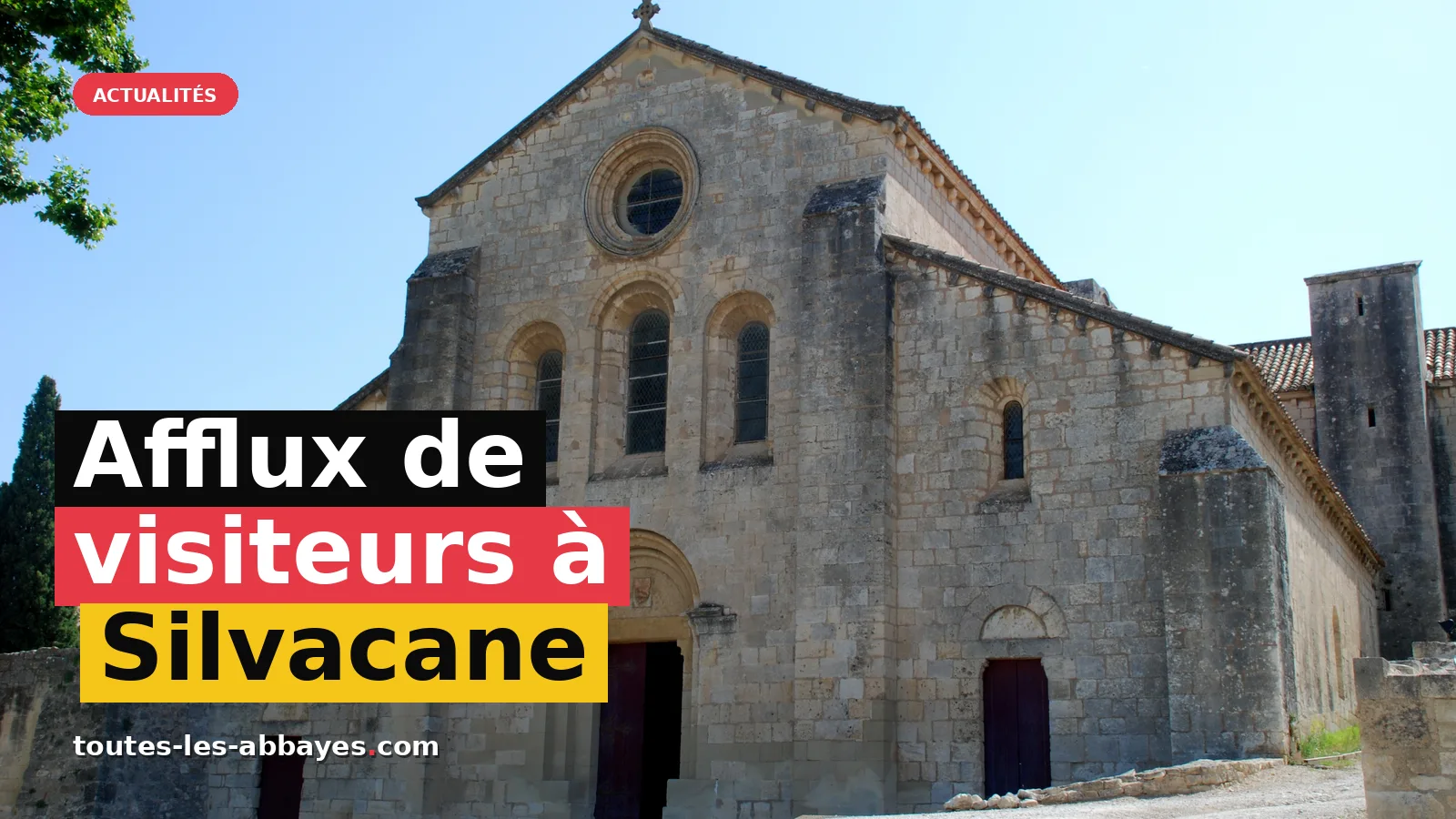 L'exposition 'Murmures' à Silvacane attire un public record en été 2026 — photo EmDee